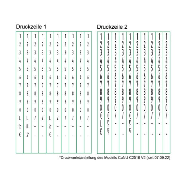 Druckwerkdarstellung des C2516 Auszeichners