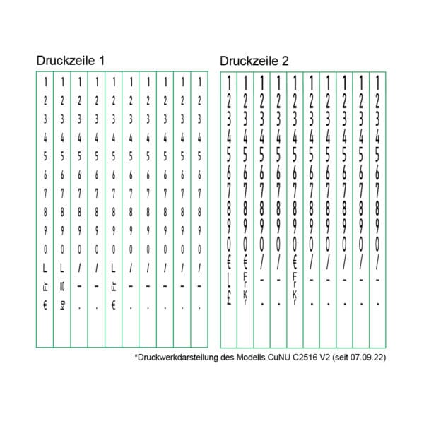 Druckwerkdarstellung des C2516 Auszeichners